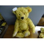 14" Steiff Teddy Bear