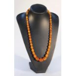 A polished amber bead necklace, in butterscotch and other colours, with a plain stringing, 66cm