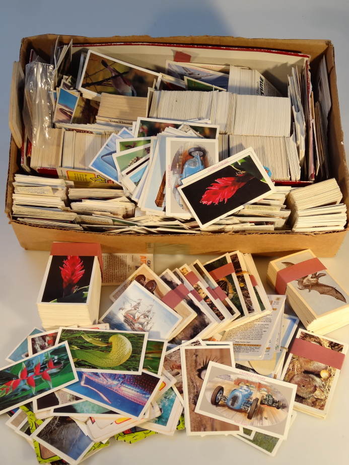 Various trade cards, to include Grandee Wonders of Nature, Mirage Studios Teenage Mutant Ninja