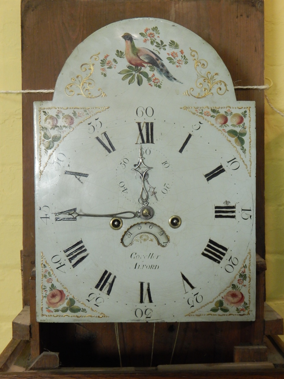 J Coviller, Alford. A mid 19thC longcase clock, the arched dial painted with an Asiatic pheasant, - Image 3 of 4