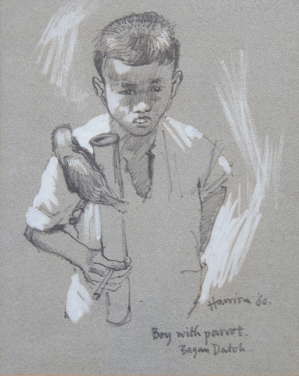 Ted Harrison (b.1926). Boy with a parrot, pen drawing with highlight, signed and dated (19)60, label