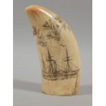A 19thC whale's tooth scrimshaw, decorated to one side with a paddle steamer, thistles, roses and