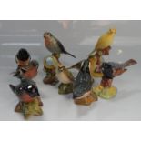 Ornithological ceramics, including Beswick, etc, (11).