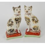 A pair of Staffordshire style cats, upon plinths with gilt collars, 19cm high.