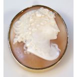 An oval shell cameo, raised with a profile of a lady with flowing hair, in a shaped yellow metal