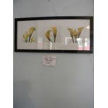 *20thC School. Three lilies, print, 24cm x 53cm, RRP £47.
