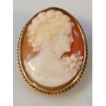 A shell cameo portrait, of a lady quarter profile, in shaped yellow metal setting with plain pin
