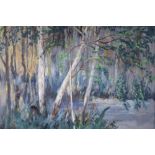 J Green (20thC). Forest interior, oil on board, signed, 51cm x 61cm.