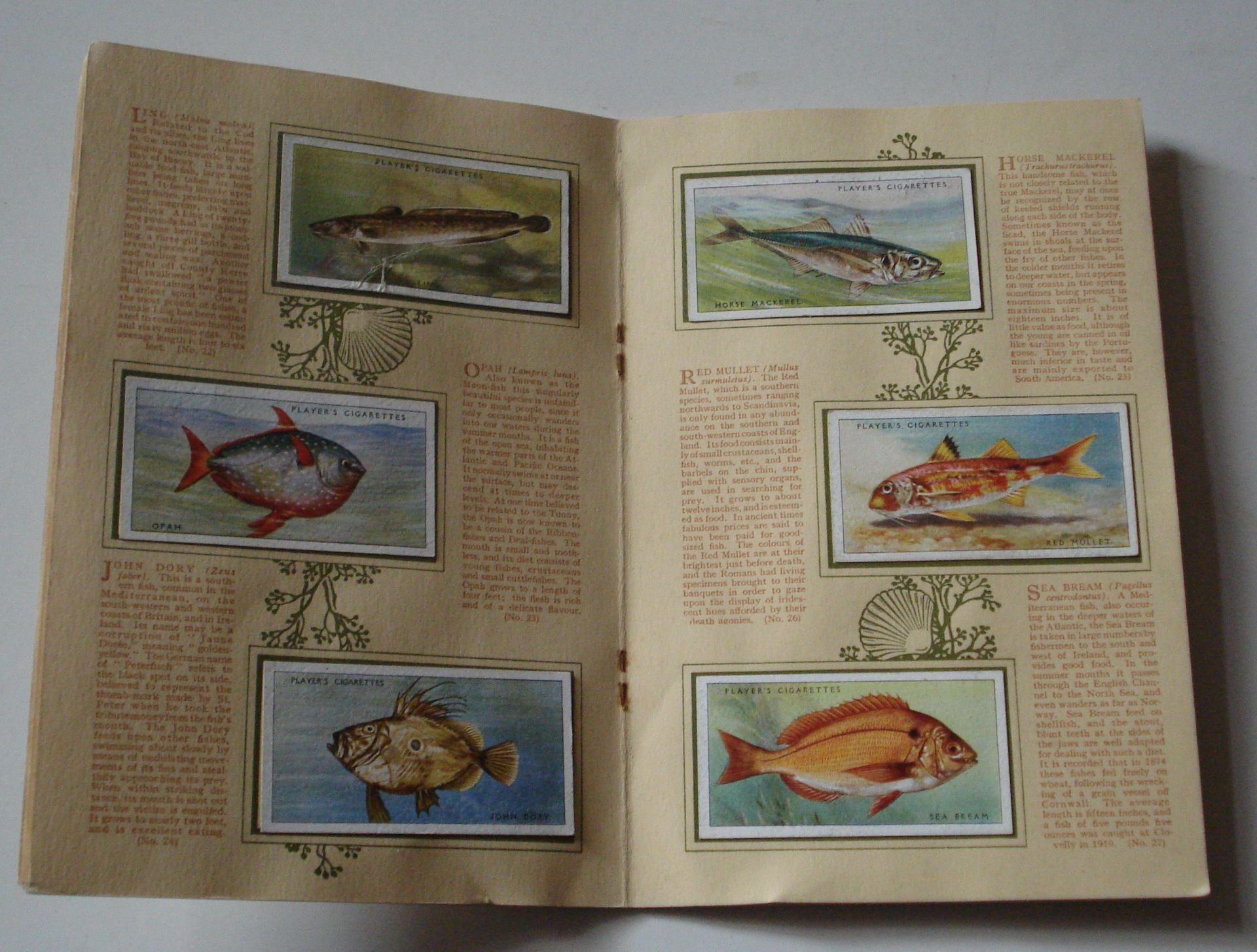 Old complete Sea Fishes cigarette album