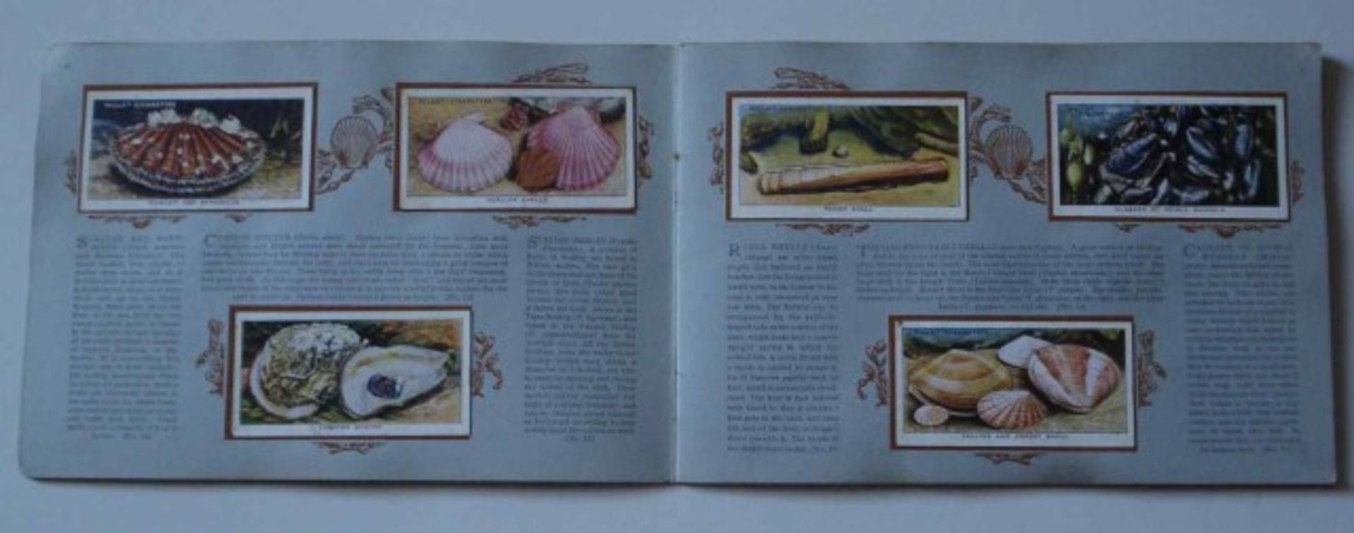 Vintage Cigarette Album of The Sea Shore - Full Set