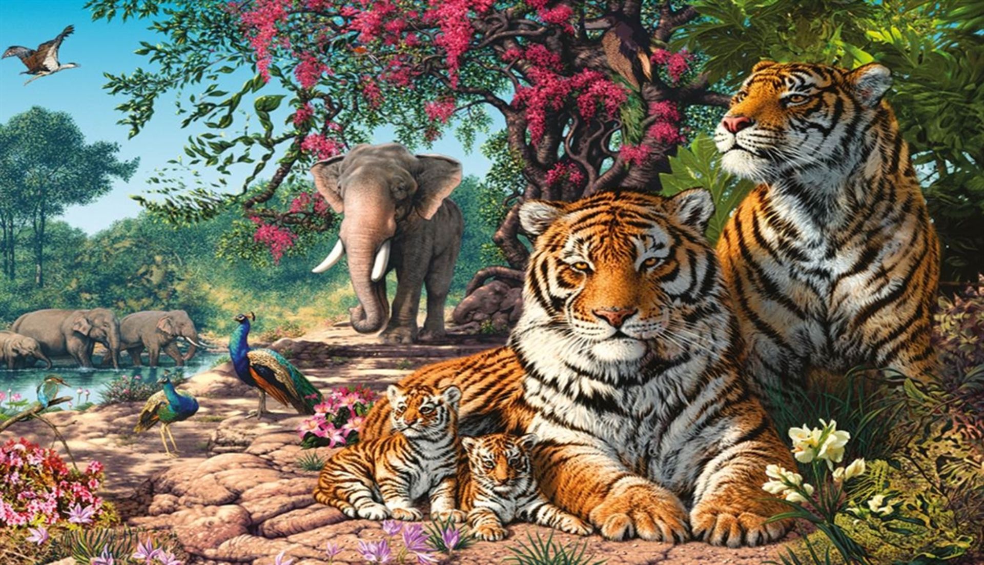 V Gibsons Tiger Sanctuary "Discoveries" 1000pc Puzzle X  4  Bid price to be multiplied by Four