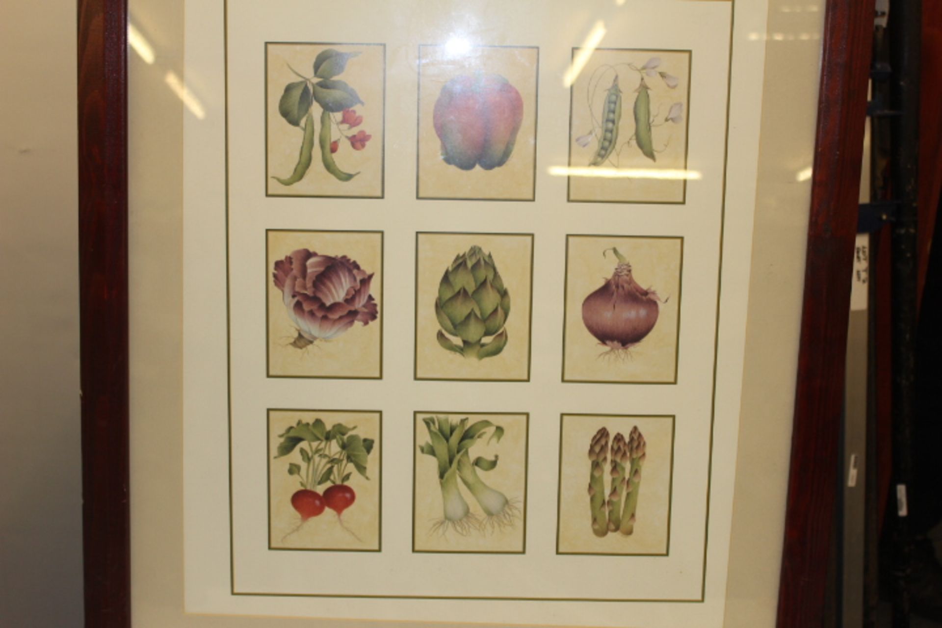 V Framed and Glazed Print Vegetables