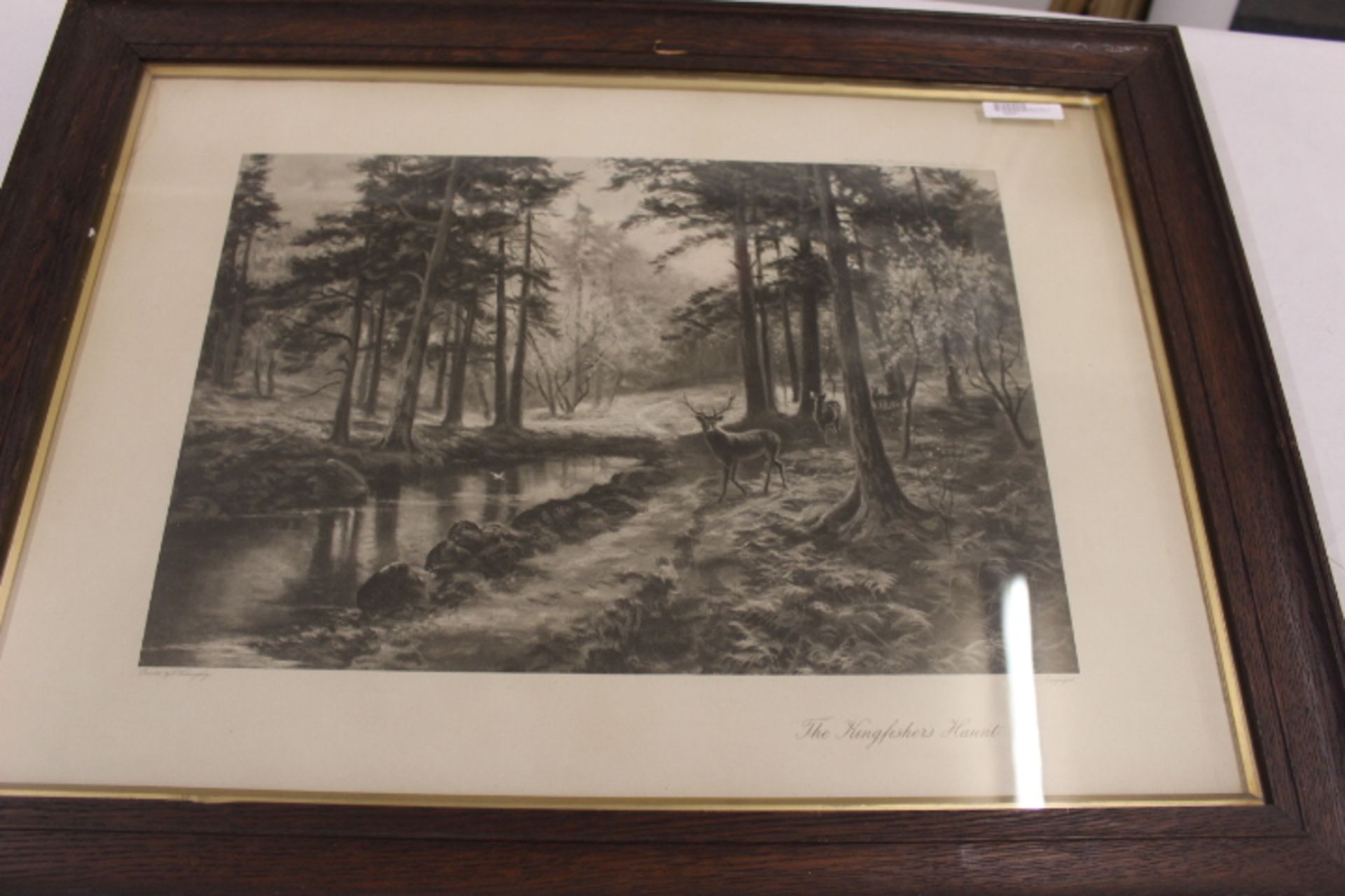 Framed Print The Kingfisher Haunt