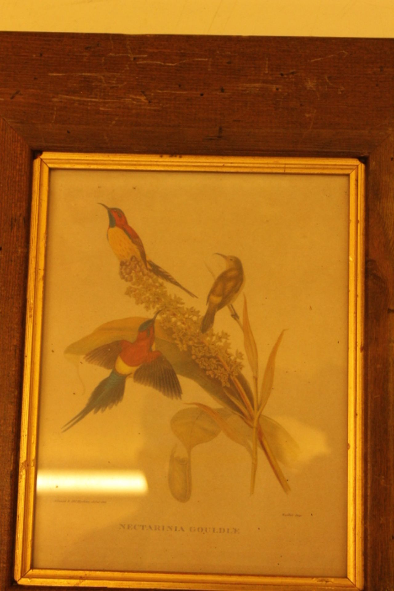 Two Prints Of Birds - Image 2 of 2