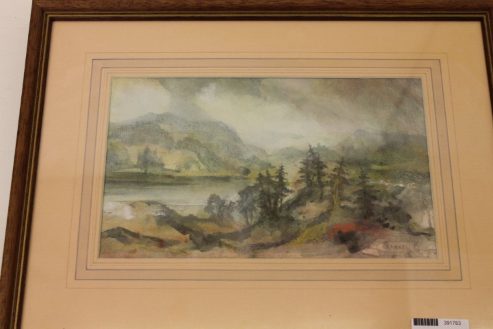 Watercolour Of Tarn Hows BY George Cannon