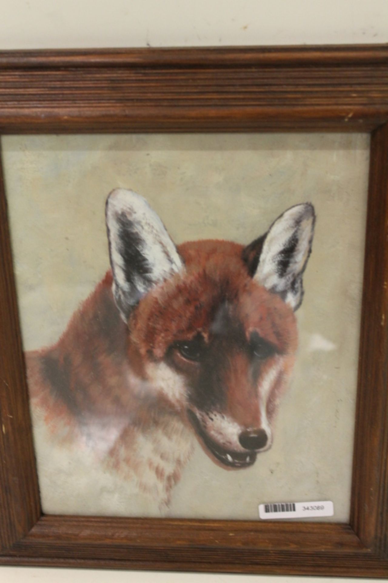 Oil On Board Wild Life Study Portrait Of A Fox