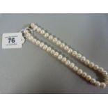 Cultured freshwater pearl necklace