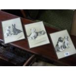 Three Cecil Aldin prints of dogs