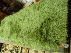 Green shaggy Rug
