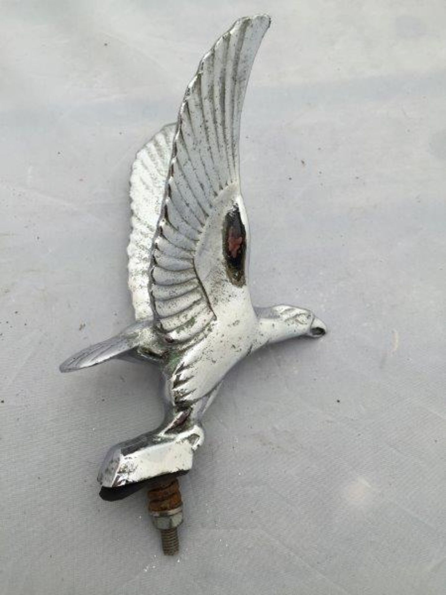 An Alvis Silver Eagle car mascot, chrome plated, believed to be a later copy.