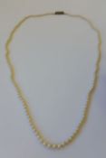 Single Strand Pearl Necklace