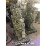 PAIR OF 20TH CENTURY COMPOSITION STONE STUDIES OF GRIFFINS, 315 X 345 X 750