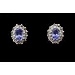 Tanzanite and diamond cluster earrings, central oval cut tanzanites, surrounded by round brilliant