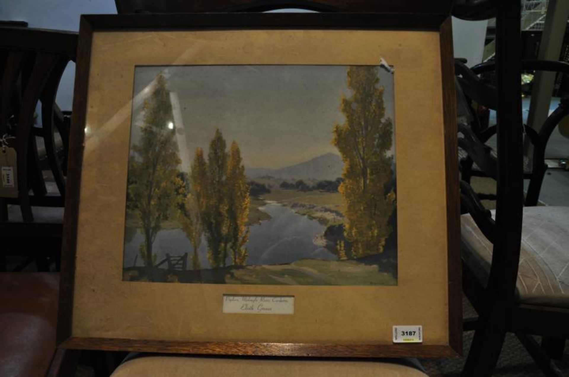 Signed Gruner framed print, 'Poplars Molonglo River River, Canberra'
