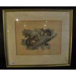 Antiquarian prints of squirrels and dear, two Pears prints and others (6)