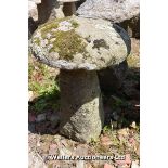 *A CORNISH GRANITE STADDLE STONE, 700 HIGH