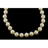 Row of 5.95mm freshwater pearls, on a yellow metal clasp