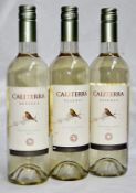 3 x 2013 Caliterra Reserva Sauvignon Blanc, Curico Valley, Chile - 2013 – Bottle Size 75cl -