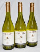 3 x Caliterra Reserva Chardonnay, Casablanca Valley, Chile - 2013 – Bottle Size 75cl - Volume 13.