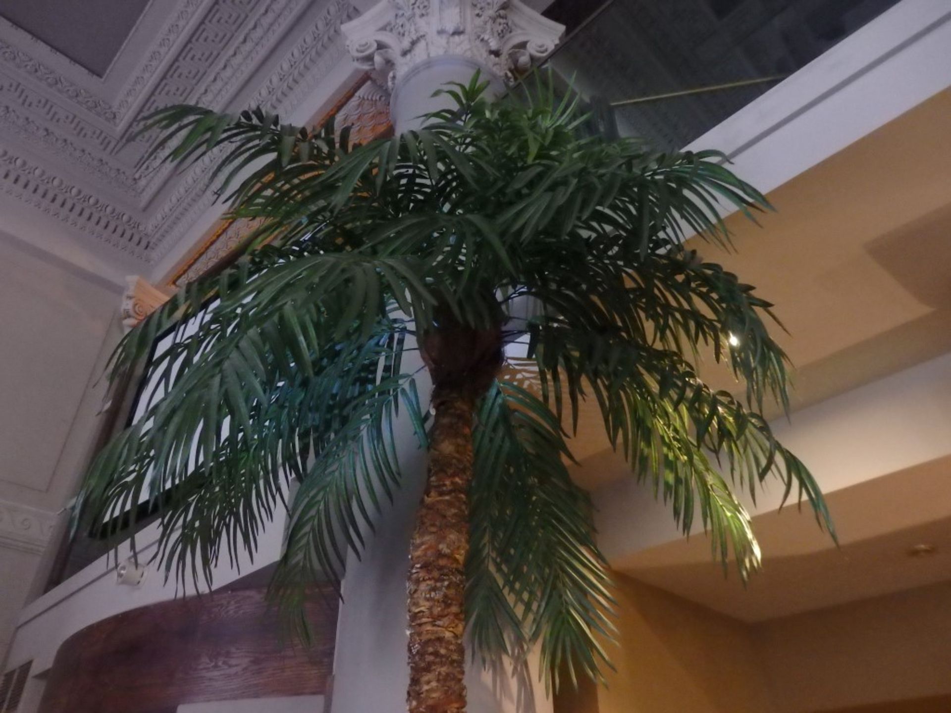 1 x Gigantic Artificial Tropical Palm Tree - HUGE SIZE - Approx 11ft Tall - With HUGE Illuminated - Image 7 of 12