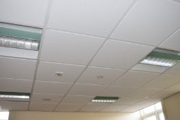 1 x Large Collection of Suspended Office Ceiling Tiles - Buyer to Dismantle and Remove - Lot