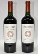 2 x Caliterra Tributo Single Vineyard Carmenere Red Wines - Chile 2011 - Bottle Size 75cl - Volume