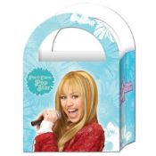 144 x Packs Of Hannah Montana Cardboard Loot Bags / Party Bags - Each Pack 6 Bags - RRP £5.25 Per