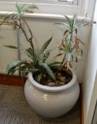 1 x Potted Plant Pot With Plant and Stones - Large Size - Ideal For The Home or Office - Approx