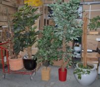 5 x Various Potted Plants - Includes Bath Real Plants and Artificial Plants - Largest 6ft Tall -