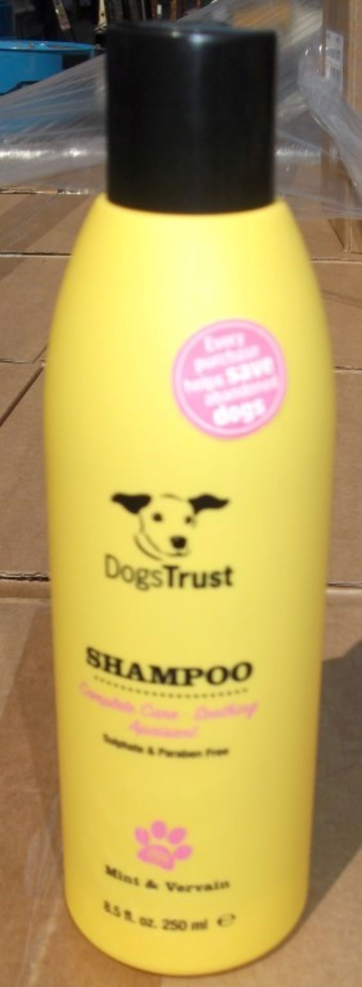 60 x Various Dogs Trust Shampoos and Conditioners - Brand New Stock - CL028 - Includes No Tears, - Image 3 of 16