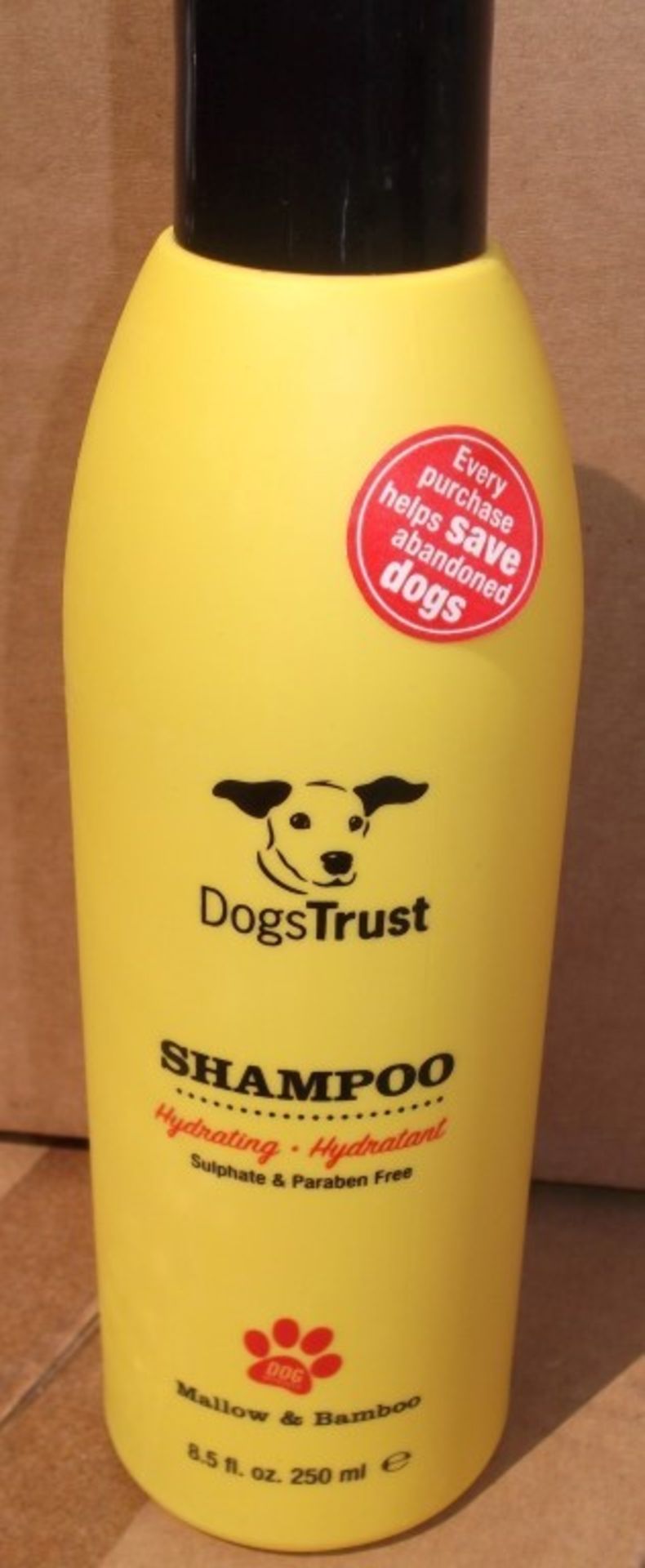 60 x Various Dogs Trust Shampoos and Conditioners - Brand New Stock - CL028 - Includes No Tears, - Image 15 of 16
