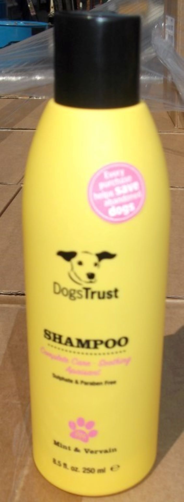 60 x Various Dogs Trust Shampoos and Conditioners - Brand New Stock - CL028 - Includes No Tears, - Bild 11 aus 15