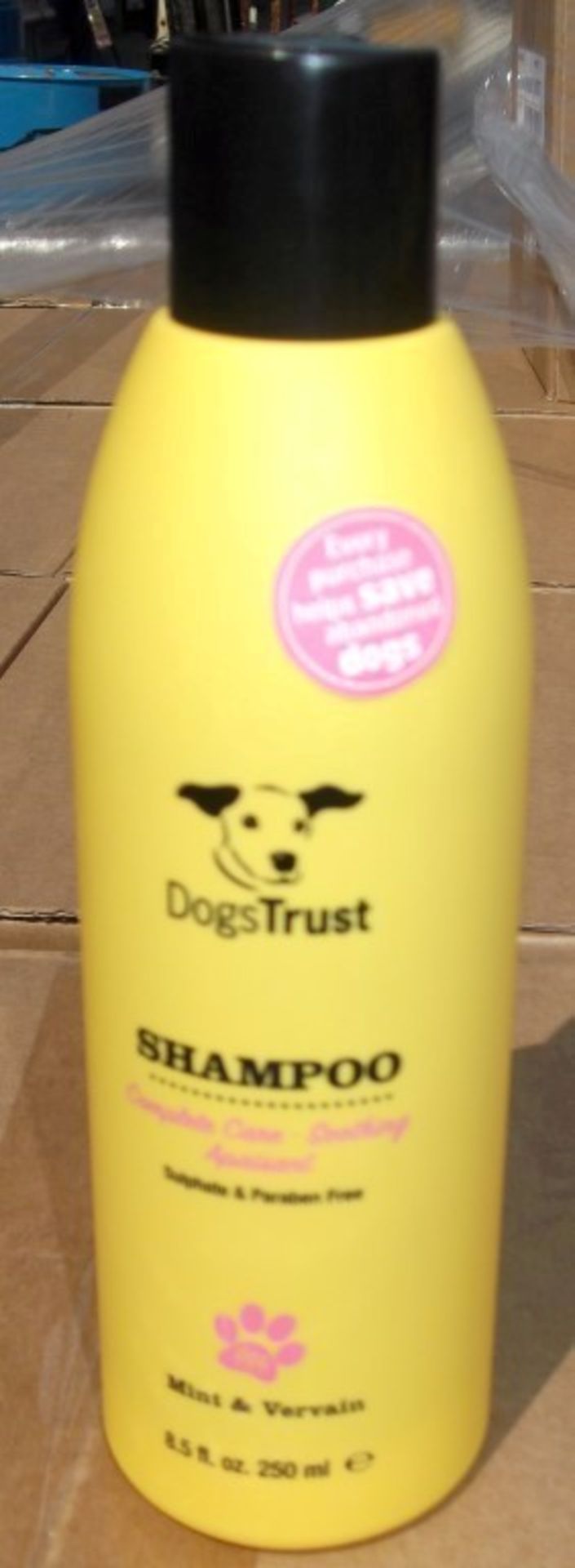 60 x Various Dogs Trust Shampoos and Conditioners - Brand New Stock - CL028 - Includes No Tears, - Image 12 of 15