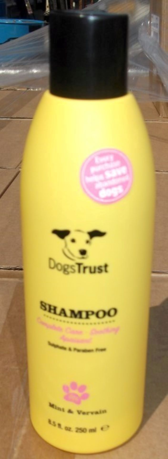 60 x Various Dogs Trust Shampoos and Conditioners - Brand New Stock - CL028 - Includes No Tears, - Image 13 of 15