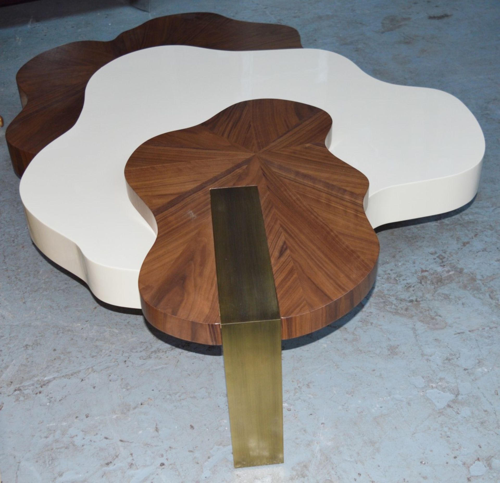 1 x Ginger & Jagger Nenhuphar Coffee Table - Urbanmint Design - Eye Catching Design - Walnut and - Image 13 of 15