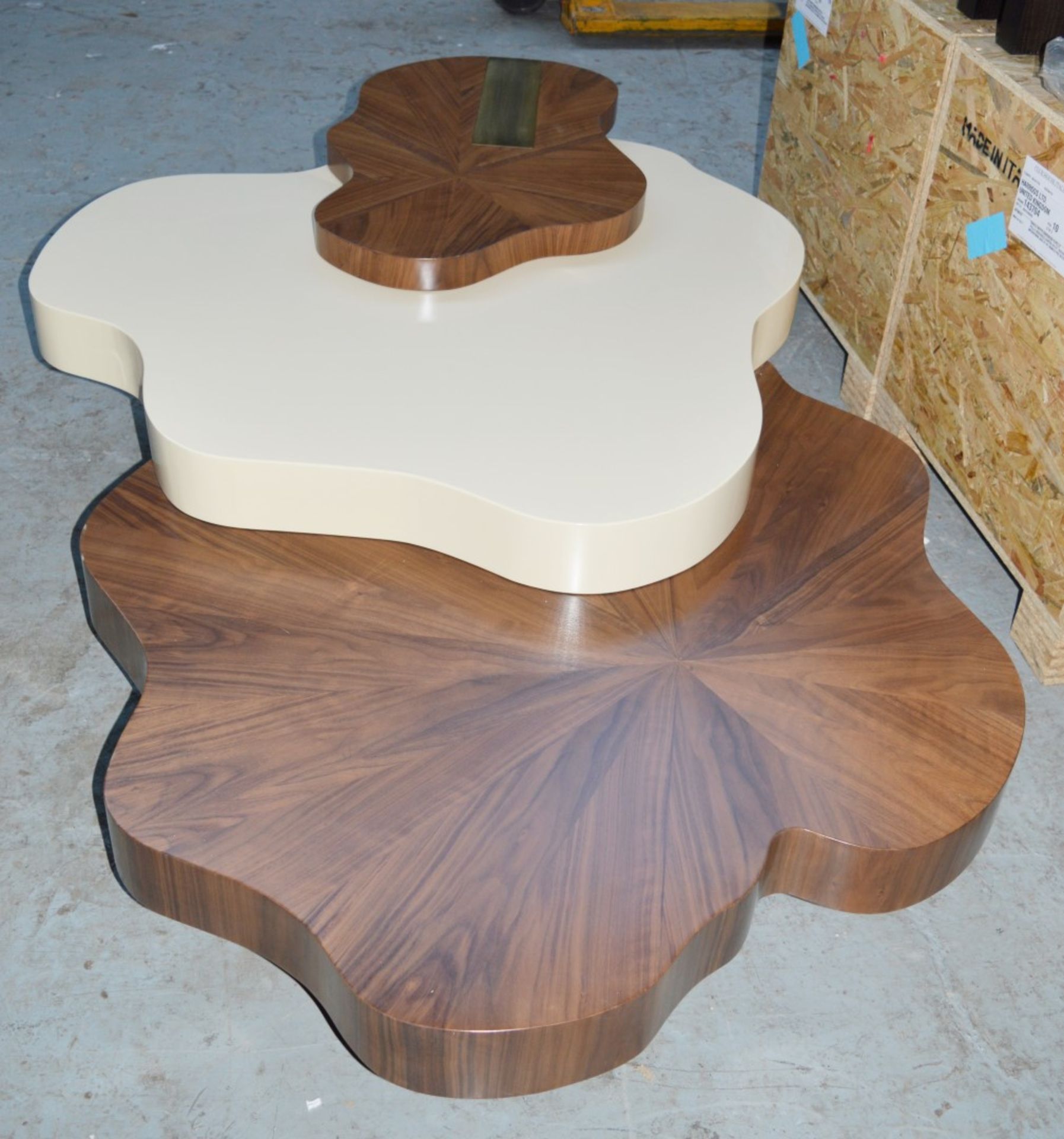 1 x Ginger & Jagger Nenhuphar Coffee Table - Urbanmint Design - Eye Catching Design - Walnut and - Image 11 of 15