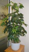 1 x Artificial Potted Plant - Ideal For The Home or Office - Height 140cm - CL300 - Ref S117 -