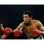 ALI MUHAMMAD: (1942- ) American Boxer, W