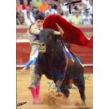 BULLFIGHTING: Selection of signed 8 x 10