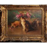 Cesto di fiori con gatti, G.Mausol, olio su tela, Scuola Inglese dell'800, cm. 46x34, cornice